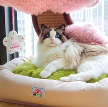 Bonsai Garden Cat Scratcher Bed - Always Whiskered