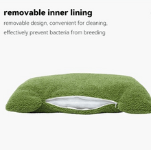 Bonsai Garden Cat Scratcher Bed - Always Whiskered