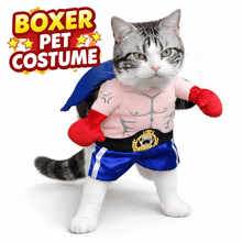Boxer Pet Costume - Always Whiskered