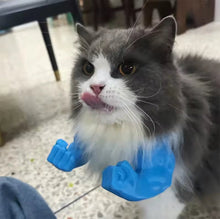 Buff Muscle Cat Arms - Always Whiskered