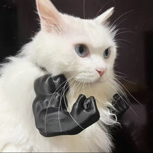 Buff Muscle Cat Arms - Always Whiskered