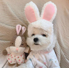 Bunny Ears - Always Whiskered