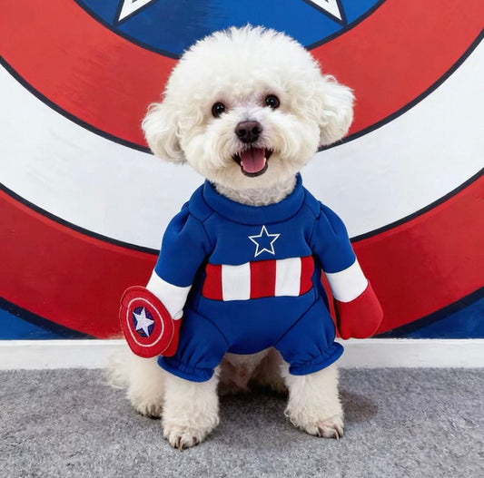 Captain USA Pet Costume - Always Whiskered