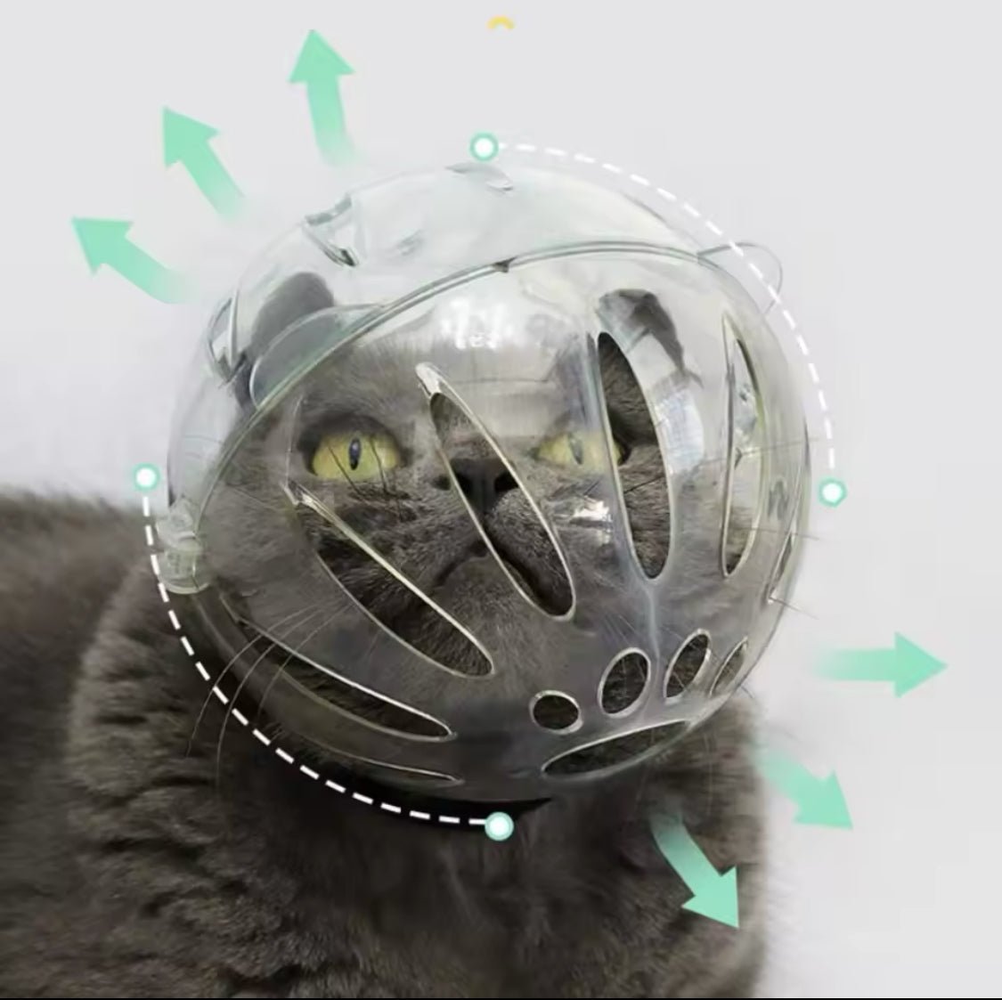 Cat Astronaut Grooming Muzzle - Always Whiskered