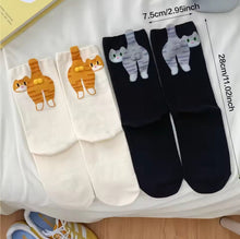 Cat Butt Socks - Always Whiskered