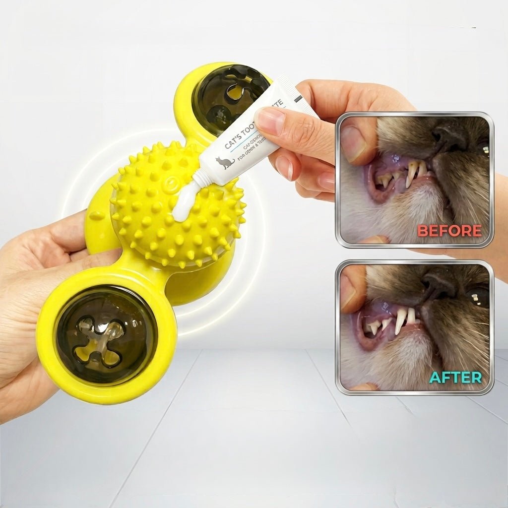 Cat Fidget Spinner - Always Whiskered