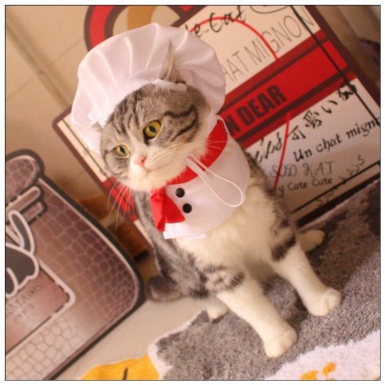 Chef Hat & Bib - Always Whiskered
