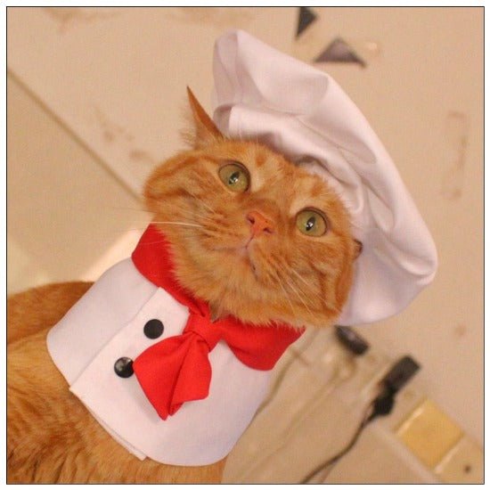 Chef Hat & Bib - Always Whiskered