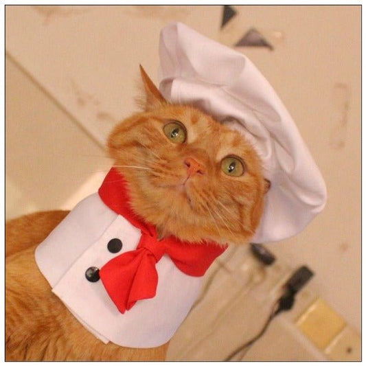 Chef Hat & Bib - Always Whiskered