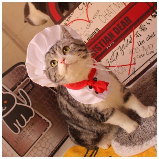 Chef Hat & Bib - Always Whiskered