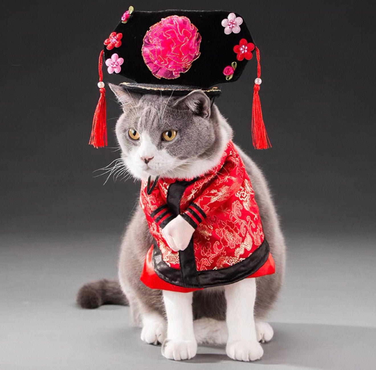 Chinese Empress Pet Costume - Always Whiskered