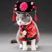 Chinese Empress Pet Costume - Always Whiskered