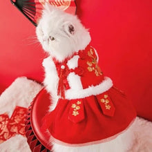 Chinese Tang Costume - Always Whiskered