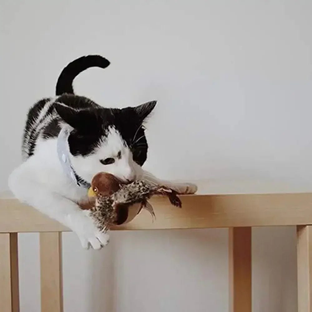 Chirpy Bird Toy - Always Whiskered