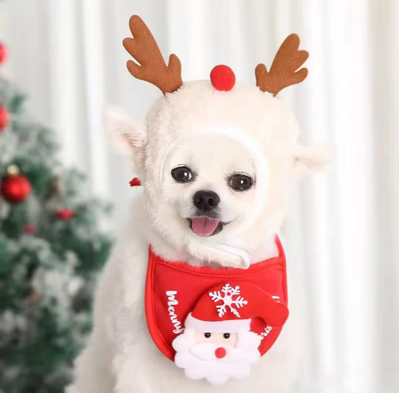 Christmas Pet Hat & Bib Set - Always Whiskered