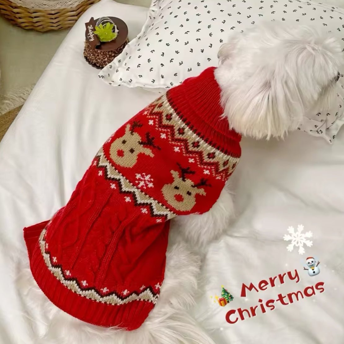 Christmas Pet Sweater - Always Whiskered