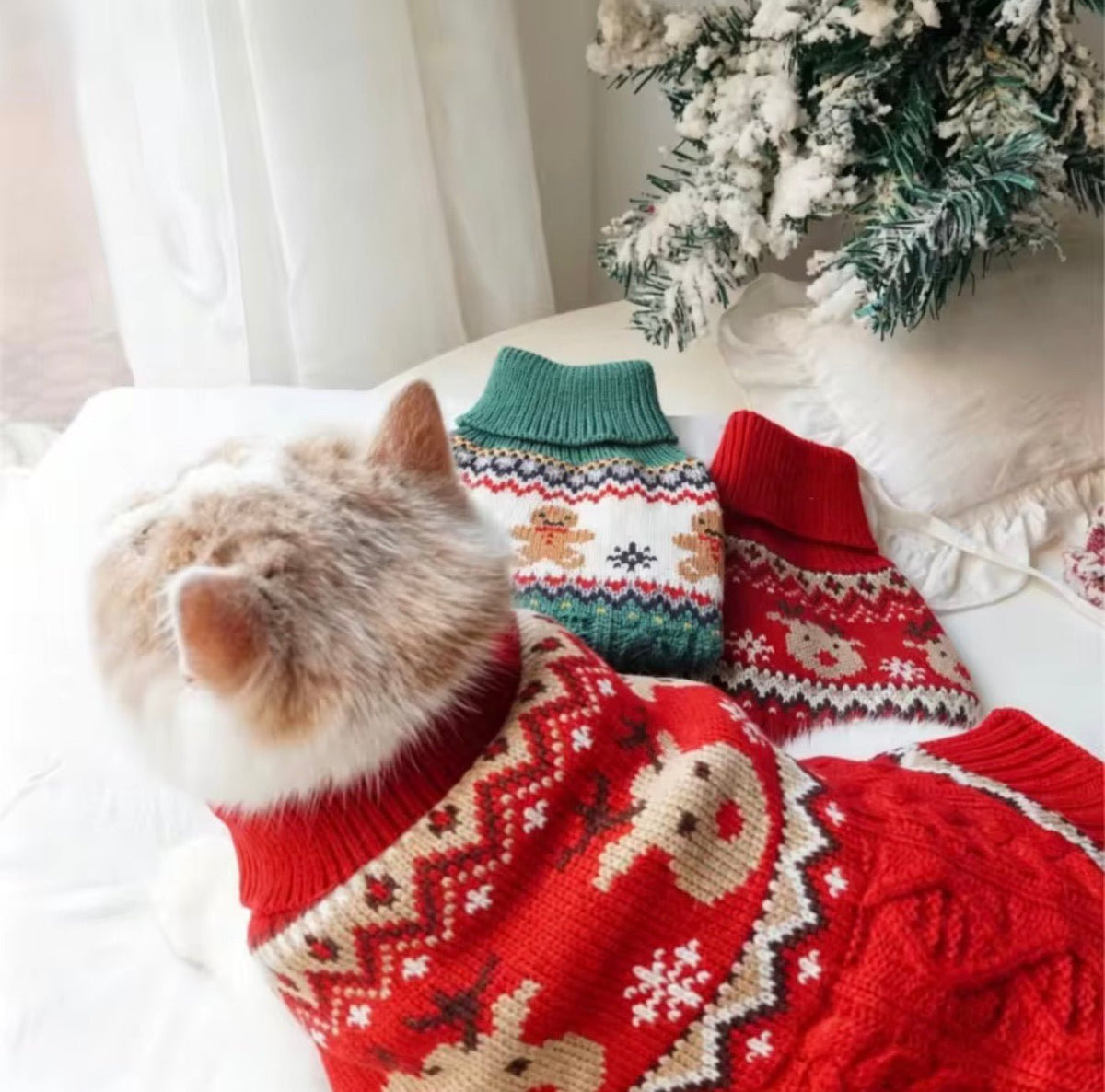 Christmas Pet Sweater - Always Whiskered