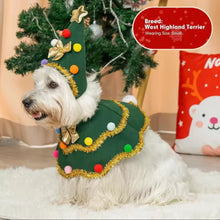 Christmas Tree Pet Costume - Always Whiskered