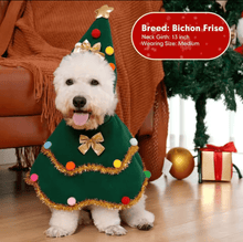Christmas Tree Pet Costume - Always Whiskered