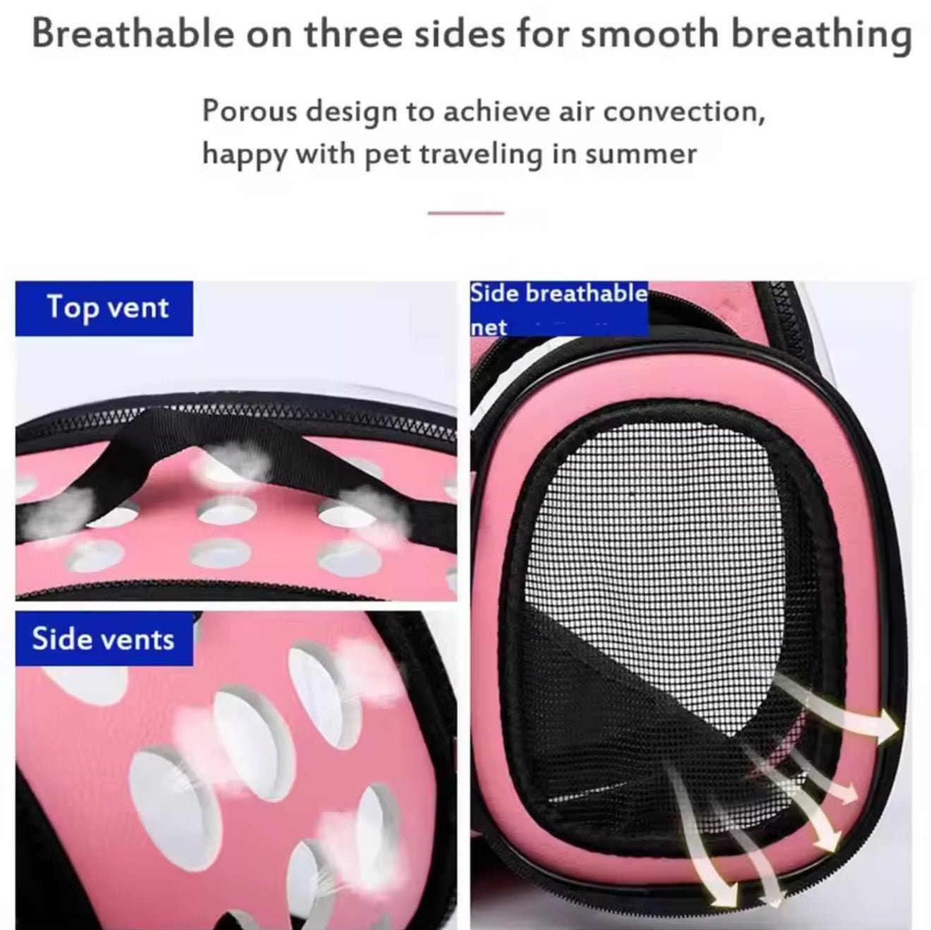 Clear View Pet Carrier - Always Whiskered