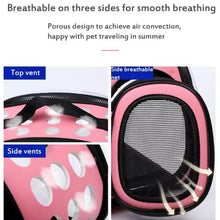 Clear View Pet Carrier - Always Whiskered