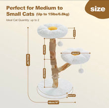 Cloud Blossom Cat Tree - Always Whiskered