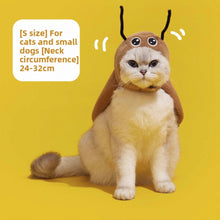 Cockroach Pet Costume - Always Whiskered