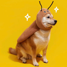 Cockroach Pet Costume - Always Whiskered