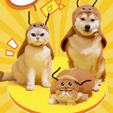 Cockroach Pet Costume - Always Whiskered