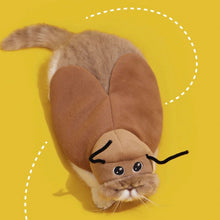Cockroach Pet Costume - Always Whiskered