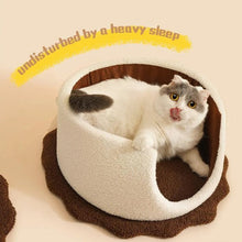 Cookie Pet Bed - Always Whiskered