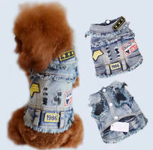 Cool Dude Pet Denim Vest - Always Whiskered