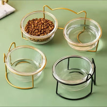 Crystal Pure Pet Bowl - Always Whiskered