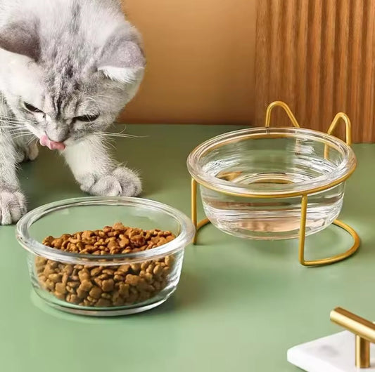 Crystal Pure Pet Bowl - Always Whiskered