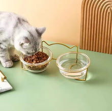 Crystal Pure Pet Bowl - Always Whiskered