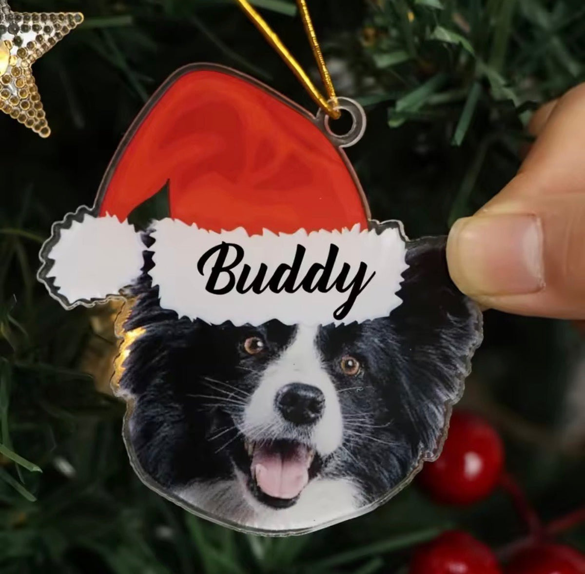 Custom Pet Photo Christmas Ornament - Always Whiskered