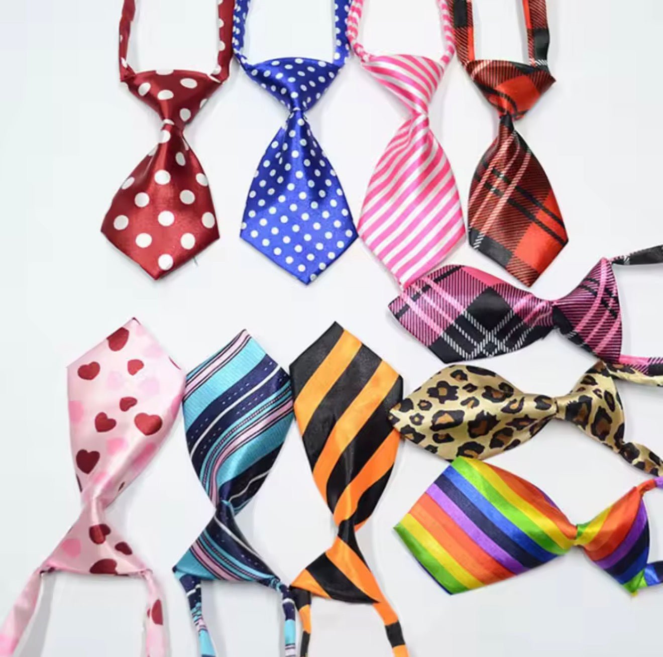 Dapper Neckties (10pcs) - Always Whiskered