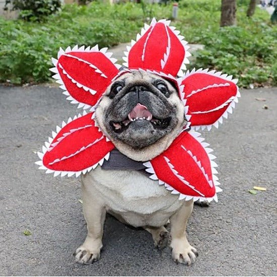 Demogorgon Pet Hat - Always Whiskered