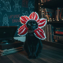 Demogorgon Pet Hat - Always Whiskered
