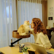 Desktop Cat Bed - Always Whiskered