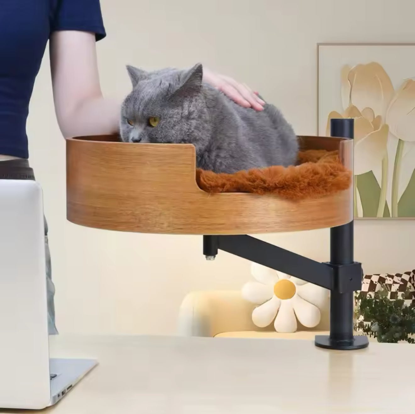 Desktop Cat Bed - Always Whiskered