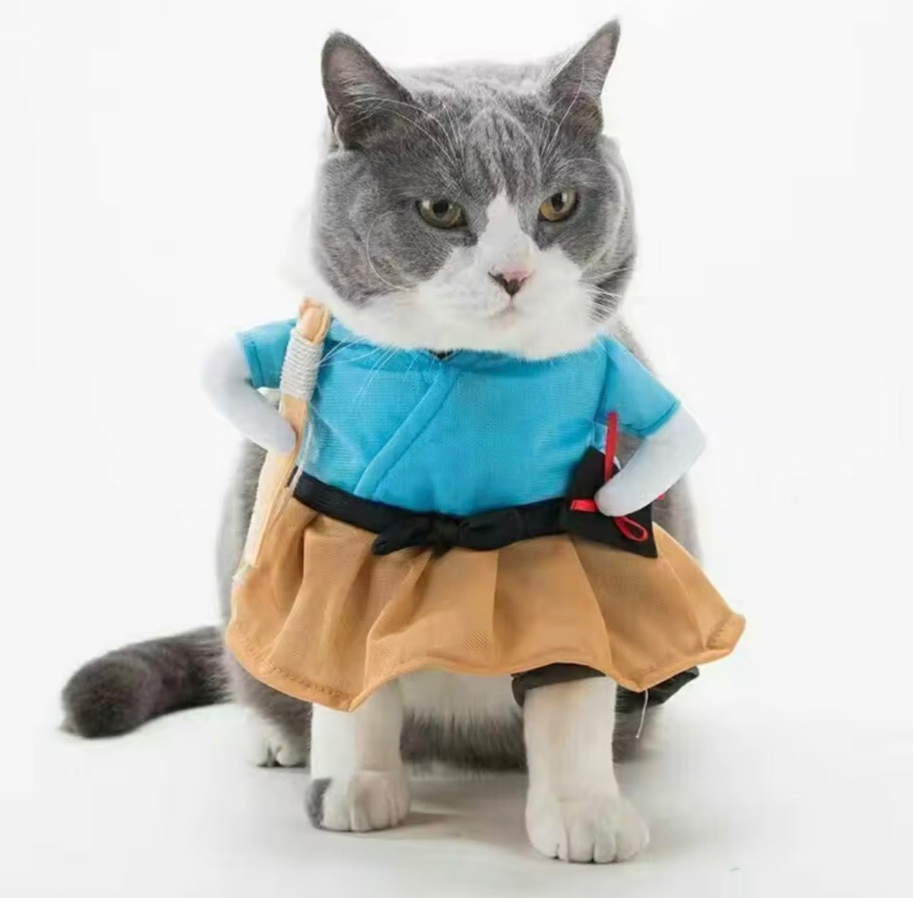 Edo Scholar Pet Costume - Always Whiskered