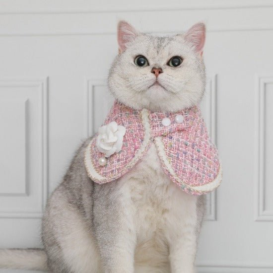 Elegant Tweed Collar - Always Whiskered