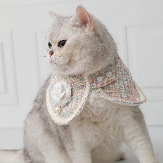 Elegant Tweed Collar - Always Whiskered