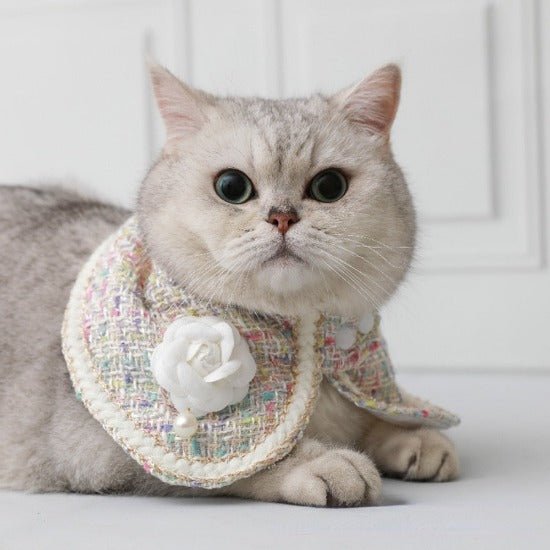 Elegant Tweed Collar - Always Whiskered
