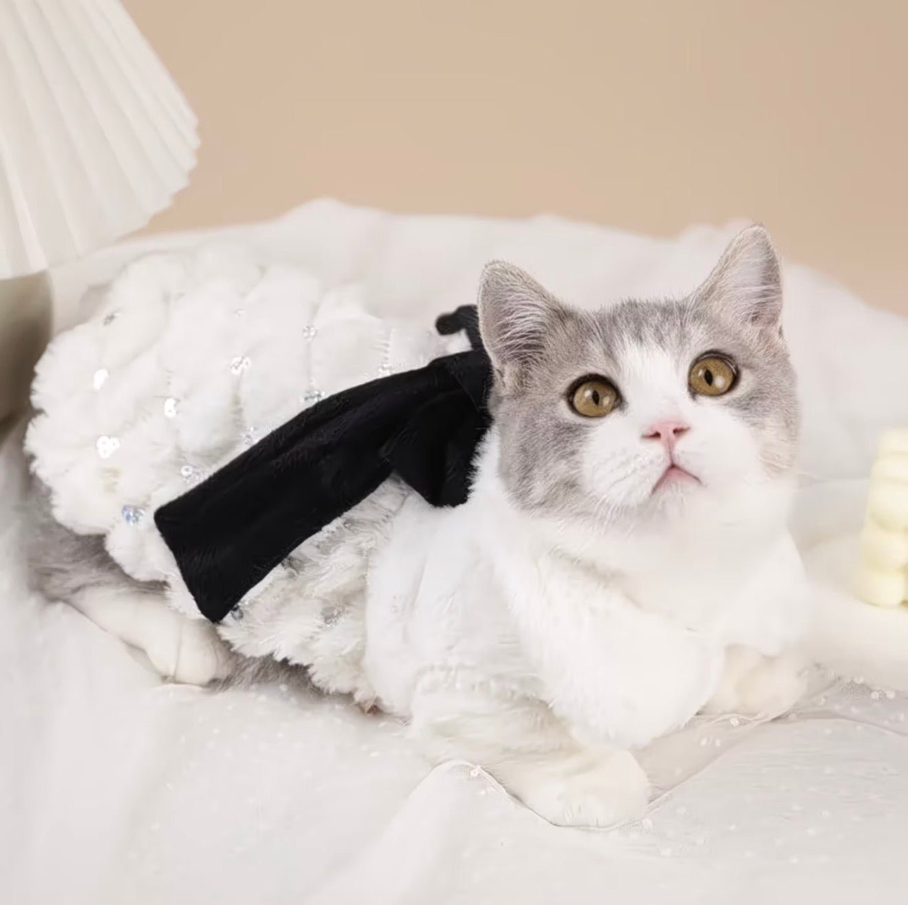 Elegant Winter Overcoat - Always Whiskered