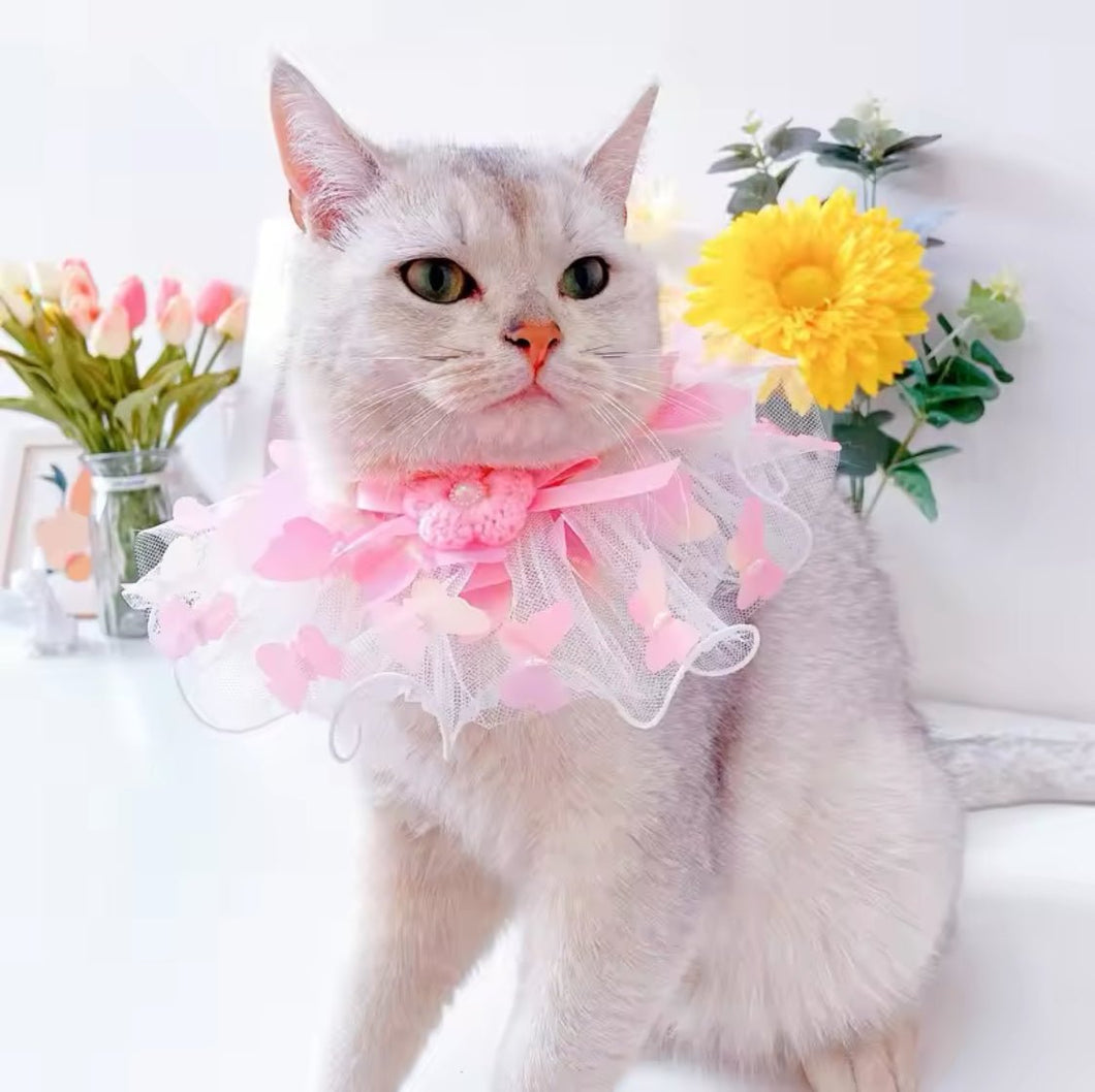 Fairy Collar Bow - Always Whiskered