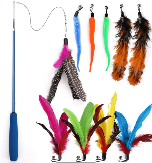 Feather Me Meow - Always Whiskered