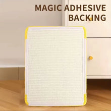 Feline Fine Wall Art Scratch Pads - Always Whiskered