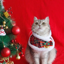 Festive Bow Collar - Always Whiskered